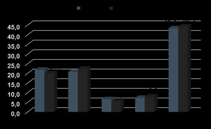 1Ç 2017 BİNEK PAZAR GELİŞİMİ (%) Perakende - Binek Araç pazarı yıllık bazda 8% düşüş göstermiştir. - DOAS ın Binek Araç pazarındaki pazar payı 20,0% olarak gerçekleşmiştir.