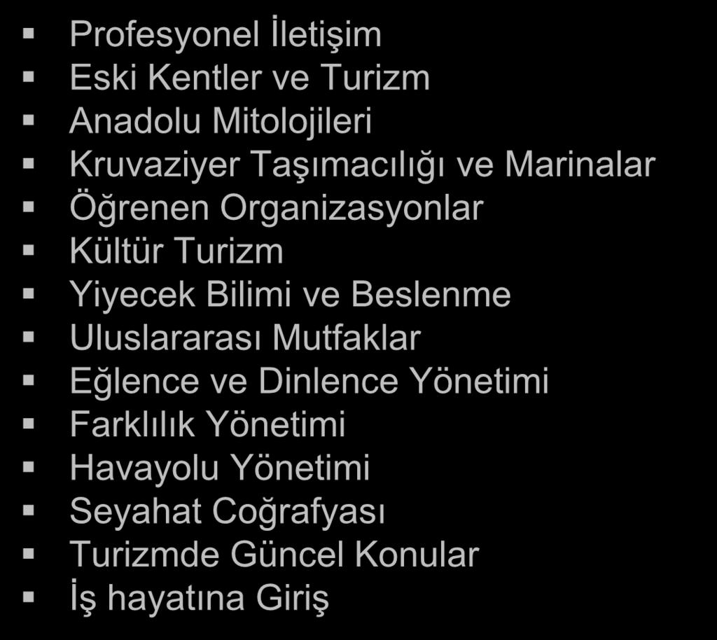 SEÇMELİ DERSLER Profesyonel İletişim Eski Kentler ve Turizm Anadolu Mitolojileri Kruvaziyer Taşımacılığı ve Marinalar Öğrenen Organizasyonlar Kültür Turizm