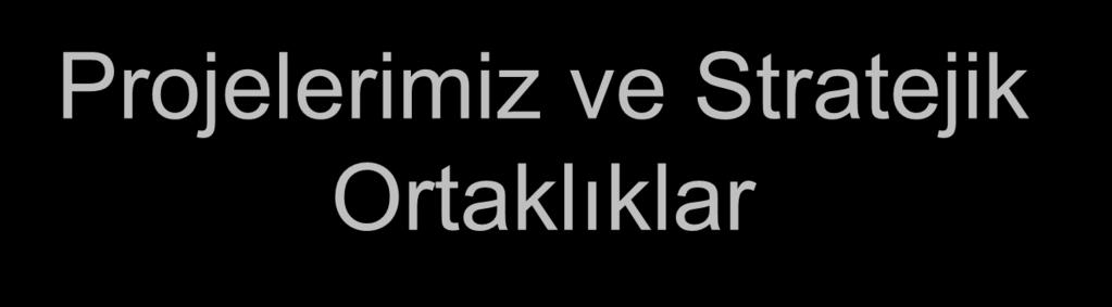 Projelerimiz ve Stratejik Ortaklıklar Trakya Kalkınma Ajansı ile ortak hazırlanan Trakya Sürdürülebilir Turizm Master Planı TUROB ile ortak