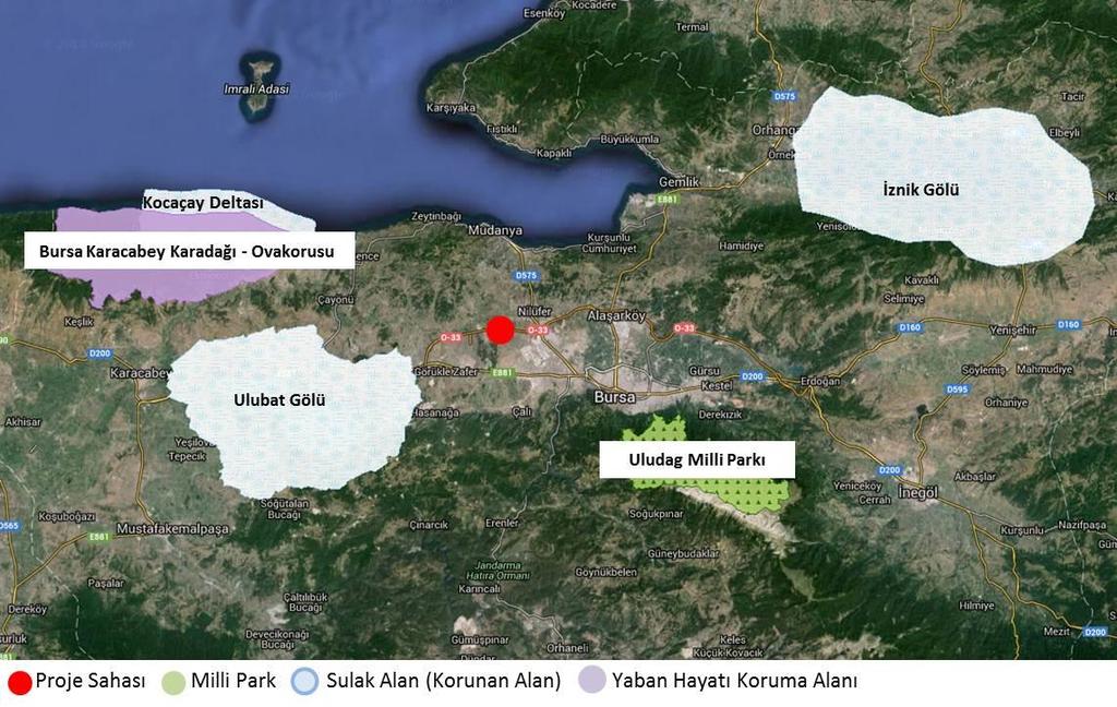 Doğal Park ta toplam 1.308 bitki türüne rastlanmıştır; bunlardan 3 tanesi küresel olarak tehlikede ve 54 tanesi ise Avrupa da tehlike altında olarak tanımlanmıştır.