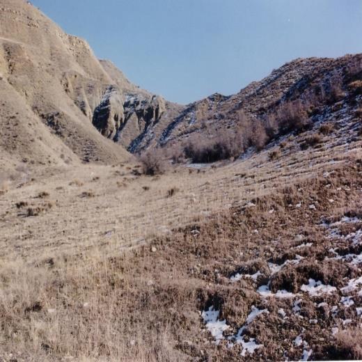 İşçi gücü teras ve