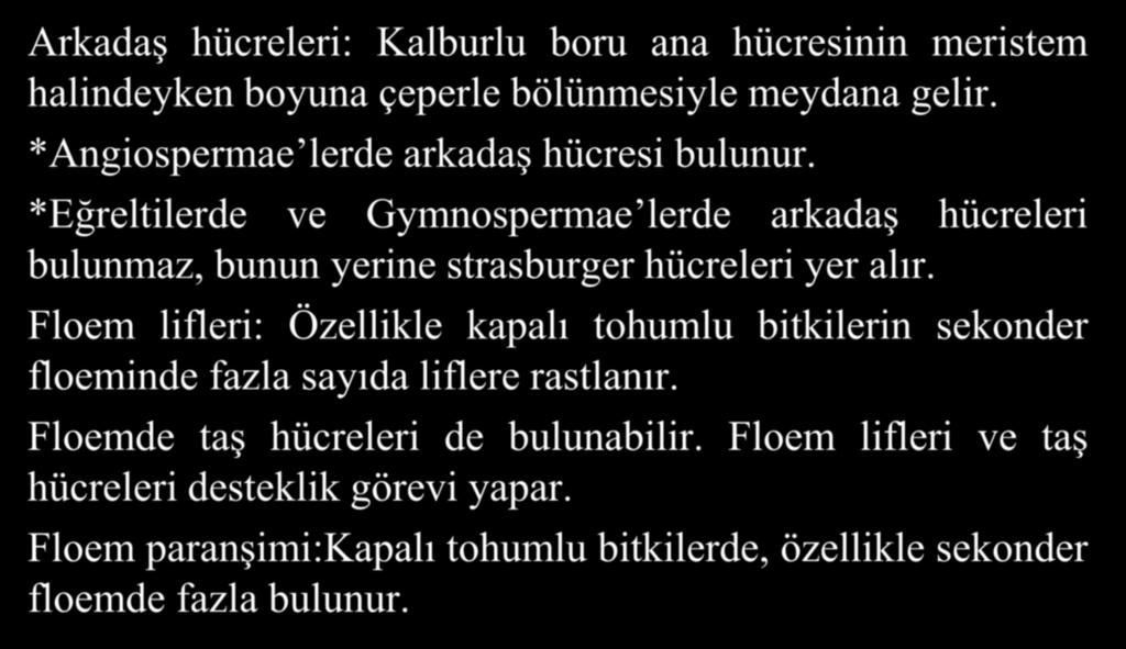 Floemdeki farklı doku elemanları Arkadaş hücreleri: Kalburlu boru ana hücresinin meristem halindeyken boyuna çeperle bölünmesiyle meydana gelir. *Angiospermae lerde arkadaş hücresi bulunur.