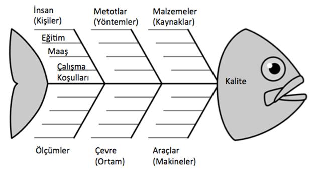 içerisinde sebepleri sorgulanarak şeklin üzerinde gösterilebilir.