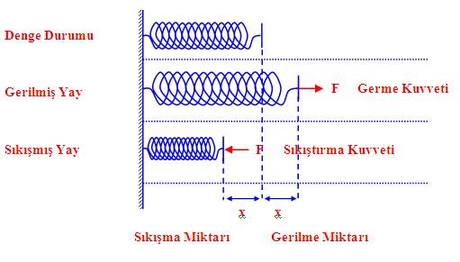 Yay Kuvveti Esnek madde: Kuvvet uygulandığında şekli değişen, kuvvet ortadan kalktığında tekrar eski haline dönebilen maddelere esnek madde denir.