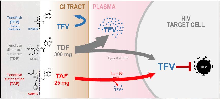 Plazmadaki düşük tenofovir