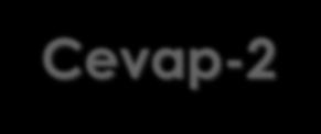 CEVAP