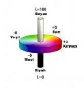 Şekil 6.5: CIE Lab renk uzayı (Yılmaz,2002) Bu değerler CIE XYZ renk uzayına bağımlı olarak hesaplanır.