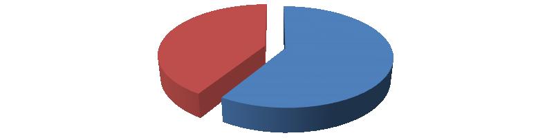 Durumu/ Education Status 53% 16% 23% 8% Lise ve Dengi/High School 2 Yıllık Yüksekokul/2 Year