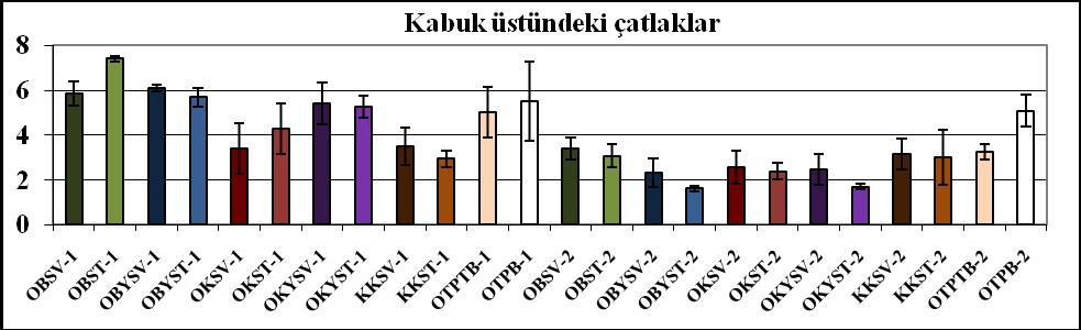 unlardan hazırlanan ekmeklerin görünüģü bazı metotlarla değerlendirmiģtir.