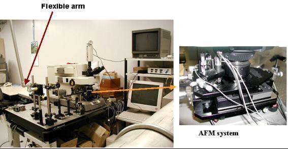 mekanizması için AFM probu ile de çalışabilen AFM sistemi kullanılır (http://www.rs.noda.sut.ac.jp/felsut/english/experiment.html, 006). 4.3.4 Nanoteknoloji Şekil 4.