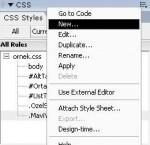 "CSS styles" panelinin sağ üst köşesindeki düğmeye tıklayarak açılan panel menüsünden "New.