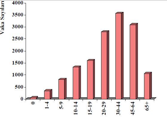 Yaş ve cinsiyet dağılımı Türkiye 2005 Uzun