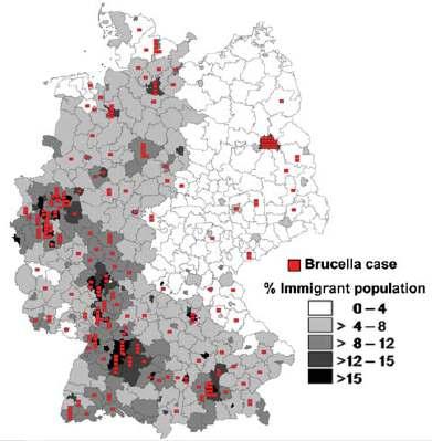 Almanya da 1962 1980 arası bruselloz insidansında azalma var. Saptanan olguların çoğu mesleksel Son yıllarda Almanya daki Türkler arasında arkş var Türkler arasında 0.