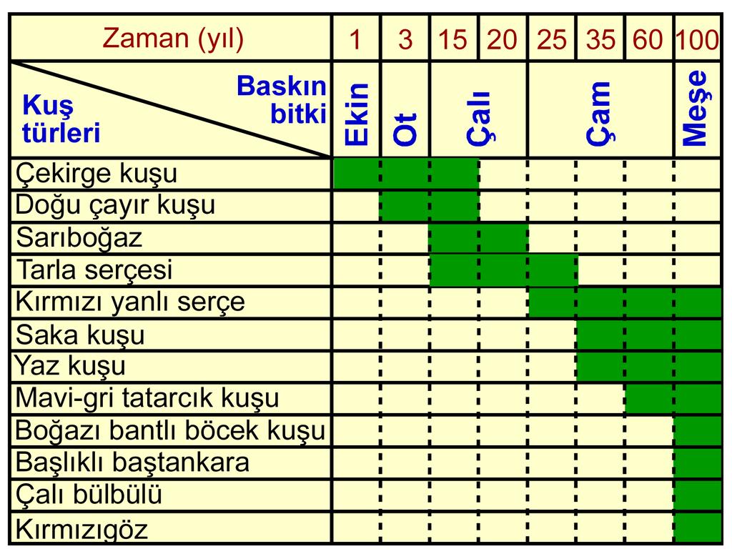 2014 LYS2 / BİY 9. 10. Fotosentezin ışığa bağımlı tepkimelerinde meydana gelen; I. ADP nin inorganik fosfatla birleşmesi, II. NADP nin indirgenmesi, III. suyun ayrışması, IV.