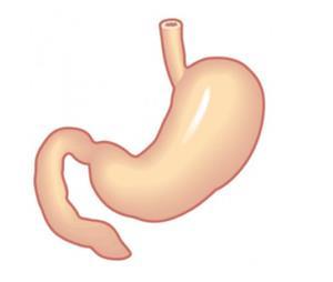 Gastrointestinal geçiş