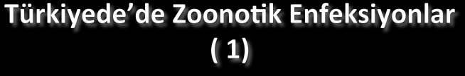 Klasik( İhmal edilen zoonozlar) Şarbon Kuduz Tularemi Toksoplasmoz Kist HidaOk Hastalığı Giardiasis Amebiyazis Leptopiroz Q humması Hayvansal gıda kökenli zoonozlar(kampilobakteriyozis, Salmonellosis