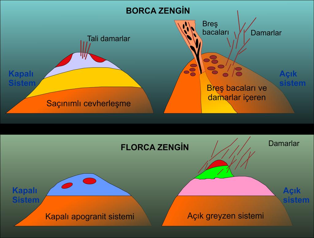 GREYZENLERİN OLUŞUMU Pegmatit Pegmatit Gryezen Muskovit-turmalin Pegmatit Albitleşmiş granit