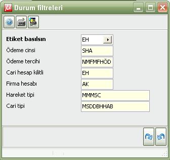 penceresinde olduğu gibi dosya adının girileceği bir pencere ile karşılaşacaksınız. Bu pencereden, hangi filtre ile rapor almak istiyorsanız, ilgili filtre için verdiğiniz dosyayı çağırmalısınız.