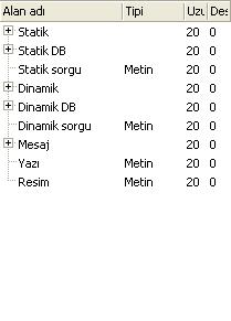 Form tanımlamalarınıza statik alanları seçerek başlayabilirsiniz. Yani hücresel bölgenin birinci ve üçüncü bölümlerini tanımlayarak. Statik alanlar, form üzerinde yer alacak sabit bilgilerdir.