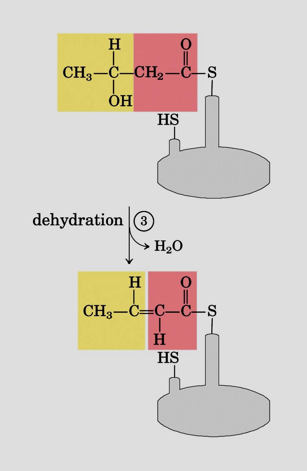 Dehidrasyon KS Dehidrasyon KS 8.1.