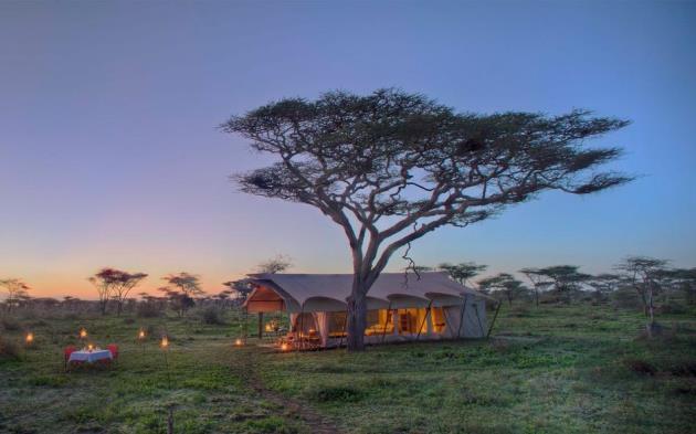 Tüm yemekler ve yerli içecekler konaklamaya dahil. Gezimizin Yedinci Gecesi Serengeti, &Beyond Klein s Camp ( 1 ) 8.