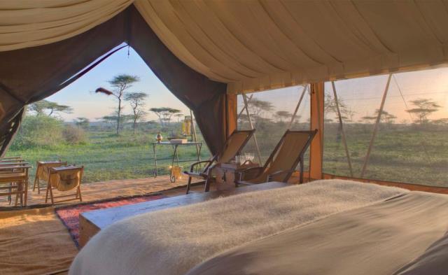 Kahvaltının ardından özel uçakla yine Serengeti Milli Parkı içerisinde yer alan &Beyond Serengeti Under Canvas a gidiliyor.