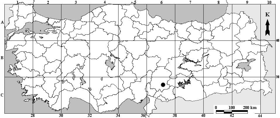 Biological Diversity and Conservation 4 / 2 (2011) 59 Teşekkür Şekil 3. Convolvulus germaniciae nın Türkiye deki yayılışı Türkiye de Yayılış Gösteren Convolvulus L.