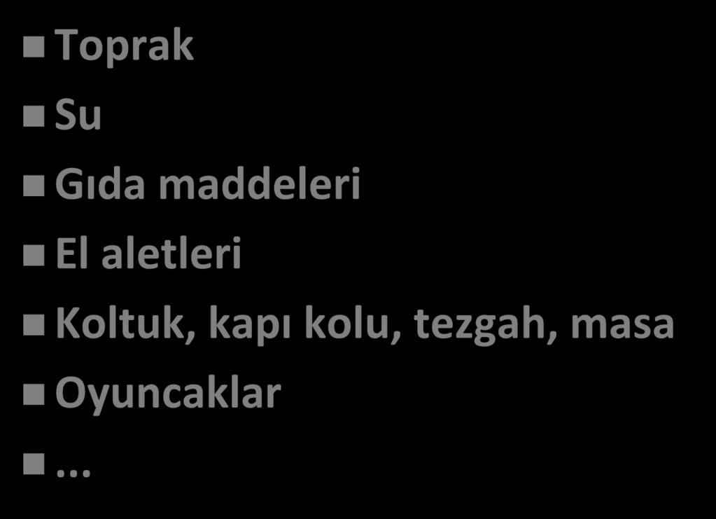 Bulaşı ı Hastalıklarda Kay ak: Ca sız Varlıklar Toprak Su Gıda addeleri El