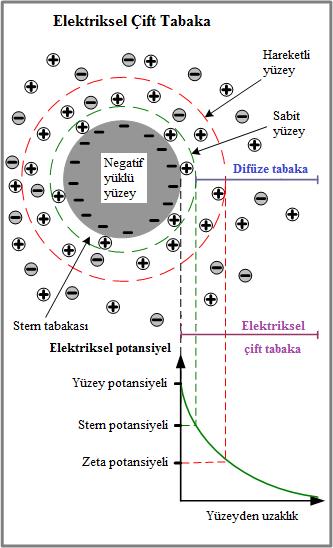 Şekil 2.12 : Zeta potansiyel, yüzey potansiyeli ilişkisi ve elektriksel çift tabaka.