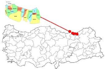 algıların belirlenmesinde bazı etmenler rol oynamaktadır. Bunlar; kentin mekânsal büyüklüğü ve mekânların kullanım yoğunlukları olarak ortaya çıkmaktadır (Güremen, 2011).