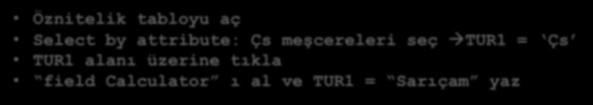 3.1. Etiketlendirme Meşcere Meşcere Çs L Kz Sarıçam Ladin Kızılağaç G Ks Göknar Kestane Öznitelik tabloyu aç