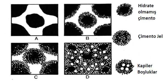 Çimento hidratasyon sinetiğinin şematik gösterimi: A) Karıştırdıktan Hemen Sonra B) Hidratasyon Başı C) Priz Başlaması D) İleri Yaş C-S-H Jeli: Çimento hamurunun %70 ini oluşturur. Dayanımı sağlar.