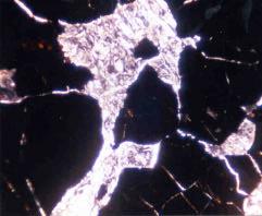 Figure 5. Development of serpentine to sieve texture in olivine (XN, 10x10) Sekil 5.