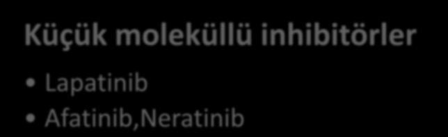 Pertuzumab Antikor-İlaç Konjugatları Trastuzumab-DM1