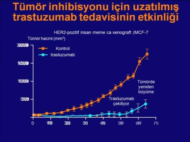 Trastuzumab sonrası Progresyon gösteren