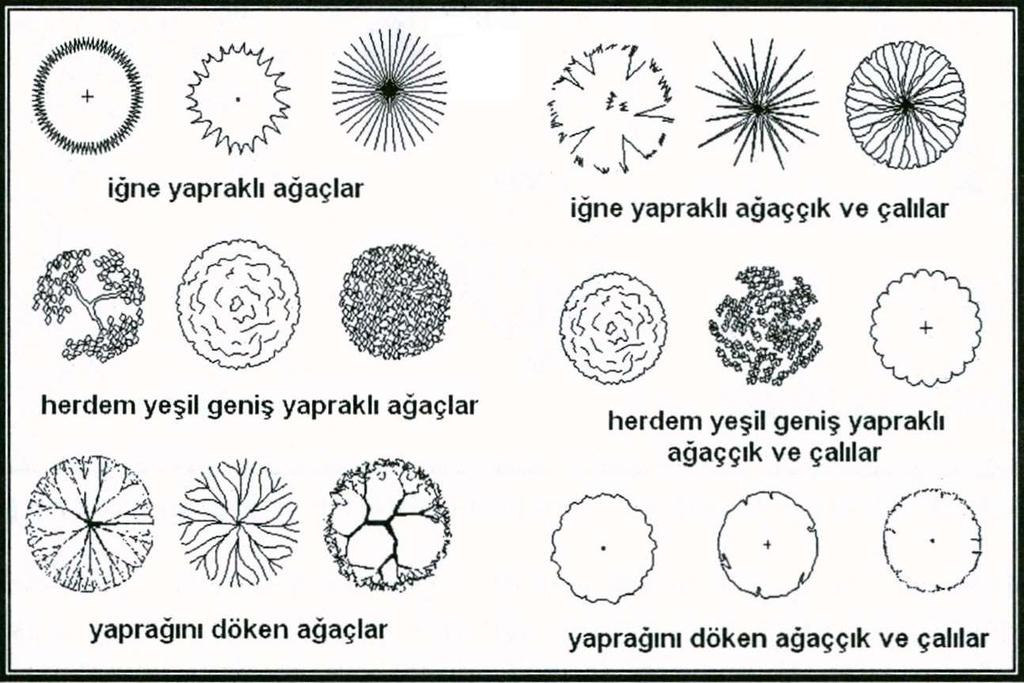 Plantasyon projelerinde bitkilerin