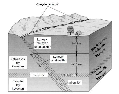 33 Dinamik Metamorfizma Dinamik metamorfizma, kayaçların yüksek farklılaşan basınçların etkisi altında kaldıkları fay (düzlem