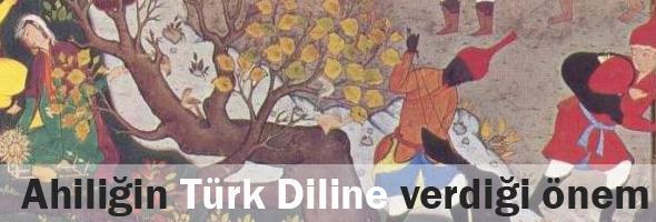 Ahilik teşkilatı, Türk dilinin ve kültürünün koruyucusu olmuştur.