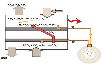 ye Sahip Ayrıştırılmış Yakıt Saflaştırma ve Sıkıştırma Sıvılaştırılmış CO 2 Sekuastrasyona Ya Da Endüstriyel Kullanıma Gönderilir Artık İşlem Suyu Çıkartılmış Gaz Baca Gazı Şekil 2.