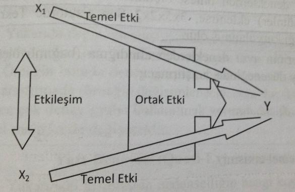 Ortak