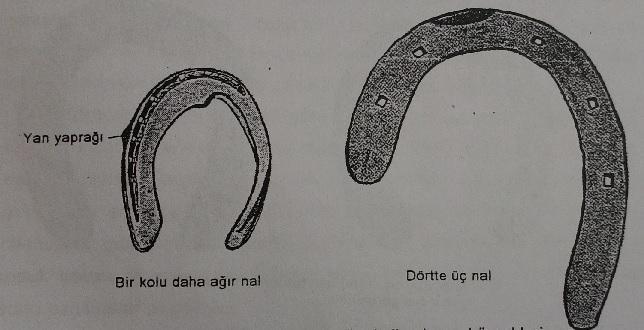 nalları adı verilir. Bu nalların dar yapılan yüzlerinde mıh deliği olmayıp dış kolda yan yaprağı bulunur. Nal çakıldıktan sonra naldan taşan kısımlar törpülenerek düzetilir.