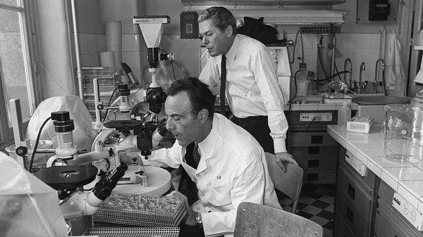 1961, François Jacob ve Jacques Monod genlerin ucundaki spesifik alanları etkileyerek diğer genlerin ekspresyonlarını regüle eden belirli gen ürünlerinin olduğunu saptadılar.