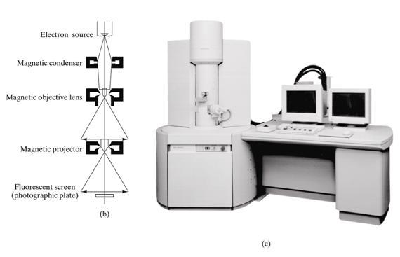 Transmisyon (Geçirimli) elektron mikroskopu: Elektron demetinin geçmesini (transmisyon) mümkün kılacak incelikte numuneler kullanılır (10-20 nm- 100 atom kalınlığı).
