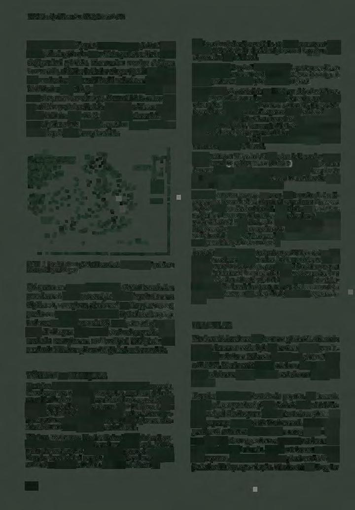 Türk Kardiyol Dern Arş /997; 25:471-476 için, akımın hızı Nyquist sınırı nı aşınca görüntü kayması (aliasing) başlar ve orifısin proksimalinde renk değişmeleri görülür.