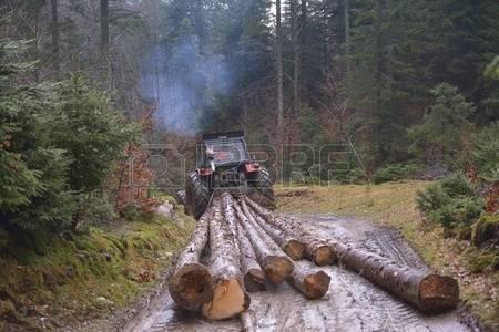 Yüksek verime sahip bir orman alanı istemesi, Sürütme makinelerinin bekleme