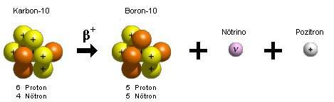 Nötron çekirdekte kalır, pozitron dışarı fırlatılır.