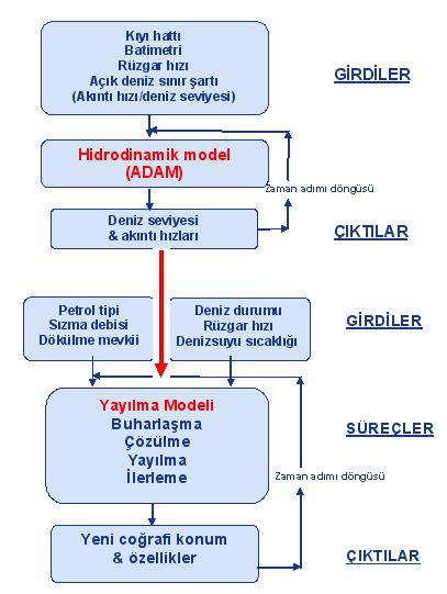 Deniz yüzeyindeki parçacık hızlarını hesaplamada -boyutlu, non-lineer, zaman adımlı, hidrodinamik bir model olan ADAM [3] kullanılmıştır.