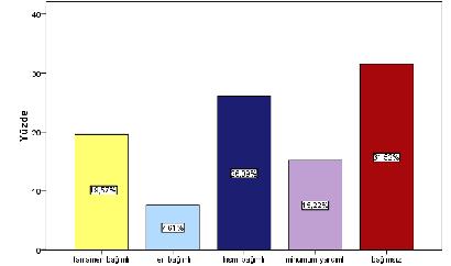 41 4.5. Hastaların Günlük Yaşam Aktivite, Depresyon ve Özürlülük Durumları Hastaların Barthel İndeksi (BI) ortalamaları 56.03±31.92 dir.