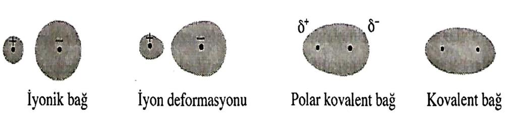 Polar bir bağın, bağda elektron yüklerinin bulunmasından dolayı bir bağ