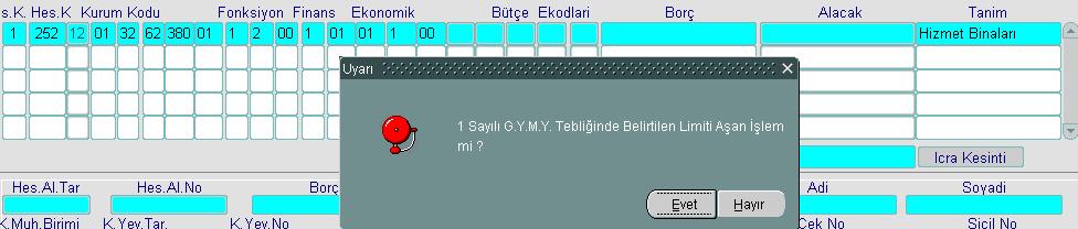 - Muhasebe kayıt formundan 252 hesabın ekonomik kodlarına kadar bilgiler girildikten sonra enter tuşuna basılır.